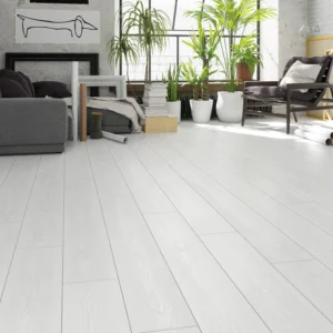 Çamsan Gloria Milda